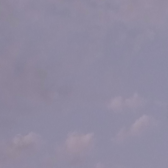 Meet your Posher, Braulio - Picture 1 of 1